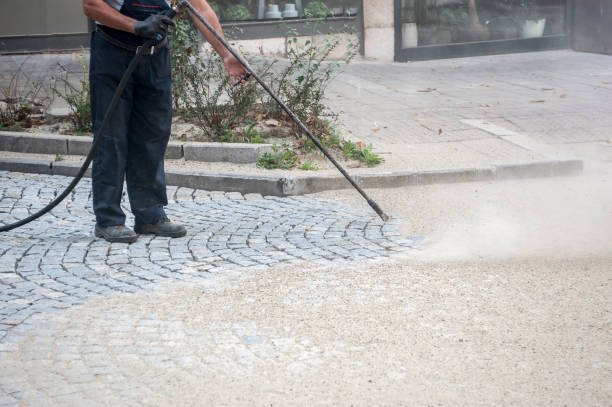 Best Roof Washing  in Catawissa, PA