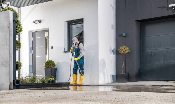 Best Graffiti Removal  in Catawissa, PA